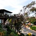 Steven Sims Photo 27