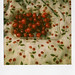 Beth Cherry Photo 12