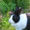 Ruth Brockett Photo 7