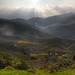 Ray Terrazas Photo 8
