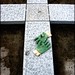 Angelo Macchia Photo 17