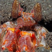 Lisa Burrows Photo 48