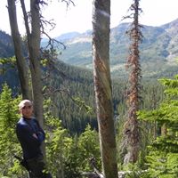 Robert Weinstein Photo 17