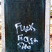 Tracey Stone Photo 9