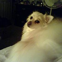 Joan Scanlon Photo 11