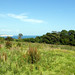 Cliff Fielding Photo 5