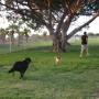 Jose Zepeda Photo 24