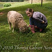 Theresa Calvert Photo 16