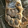 Tracey Peters Photo 12