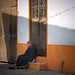 Erick Ramirez Photo 34