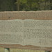 Nancy Halsell Photo 1