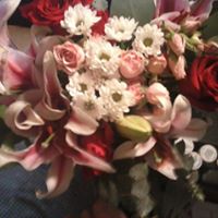 Deborah Carver Photo 24