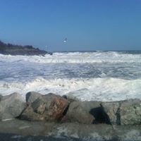 Ruth Maffei Photo 4