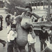 Teddy Marks Photo 19