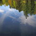 Tracey Trout Photo 27