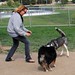 Cindy Wise Photo 43
