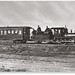 David Canfield Photo 26