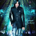 Michael Do Photo 20