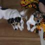 Kathy Fain Photo 22