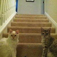 Nancy Gooding Photo 17