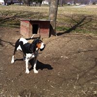 Debra Colvin Photo 29