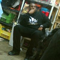 Pierre Harper Photo 14