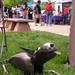 Mike Combs Photo 36