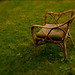 Martha Elliott Photo 14