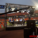 Michael Sapp Photo 39