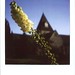 Margaret Land Photo 14