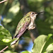 Richard Murrell Photo 36