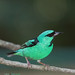 Christopher Helms Photo 43