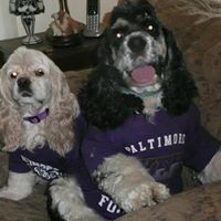 Julie Strong Photo 19