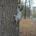 Raphael Gray Photo 10