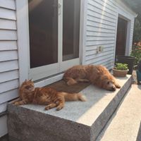 Susan Doherty Photo 37