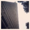 Brian Forte Photo 1