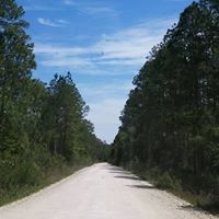 Vivian Phillips Photo 23
