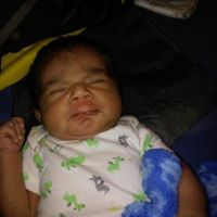 Luis Lozoya Photo 12