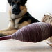 Kristine Shepherd Photo 22