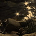 Louis Demas Photo 4
