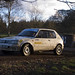 Steven Knowles Photo 9