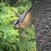 Jennifer Hubbard Photo 31