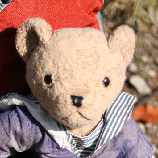 James Watt Photo 43