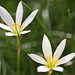 Lily Jiang Photo 32