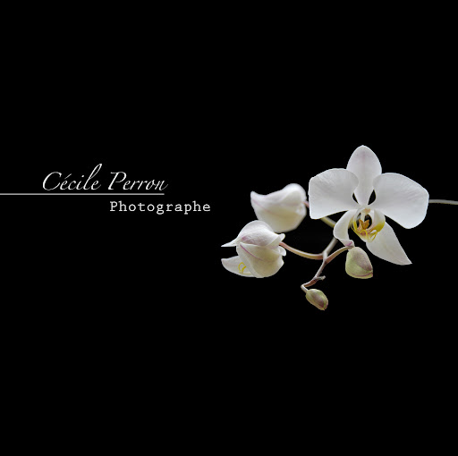 Cecile Perron Photo 1