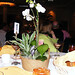 Stuart Wood Photo 32