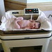 Julia Beatty Photo 27