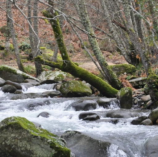 Juan Marcos Photo 39