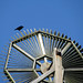 Alison Crow Photo 23