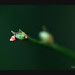 Joy Loth Photo 3